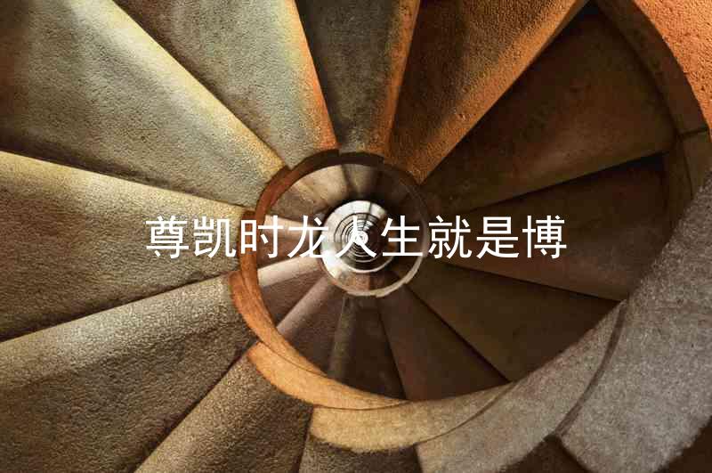 尊凯时龙人生就是博