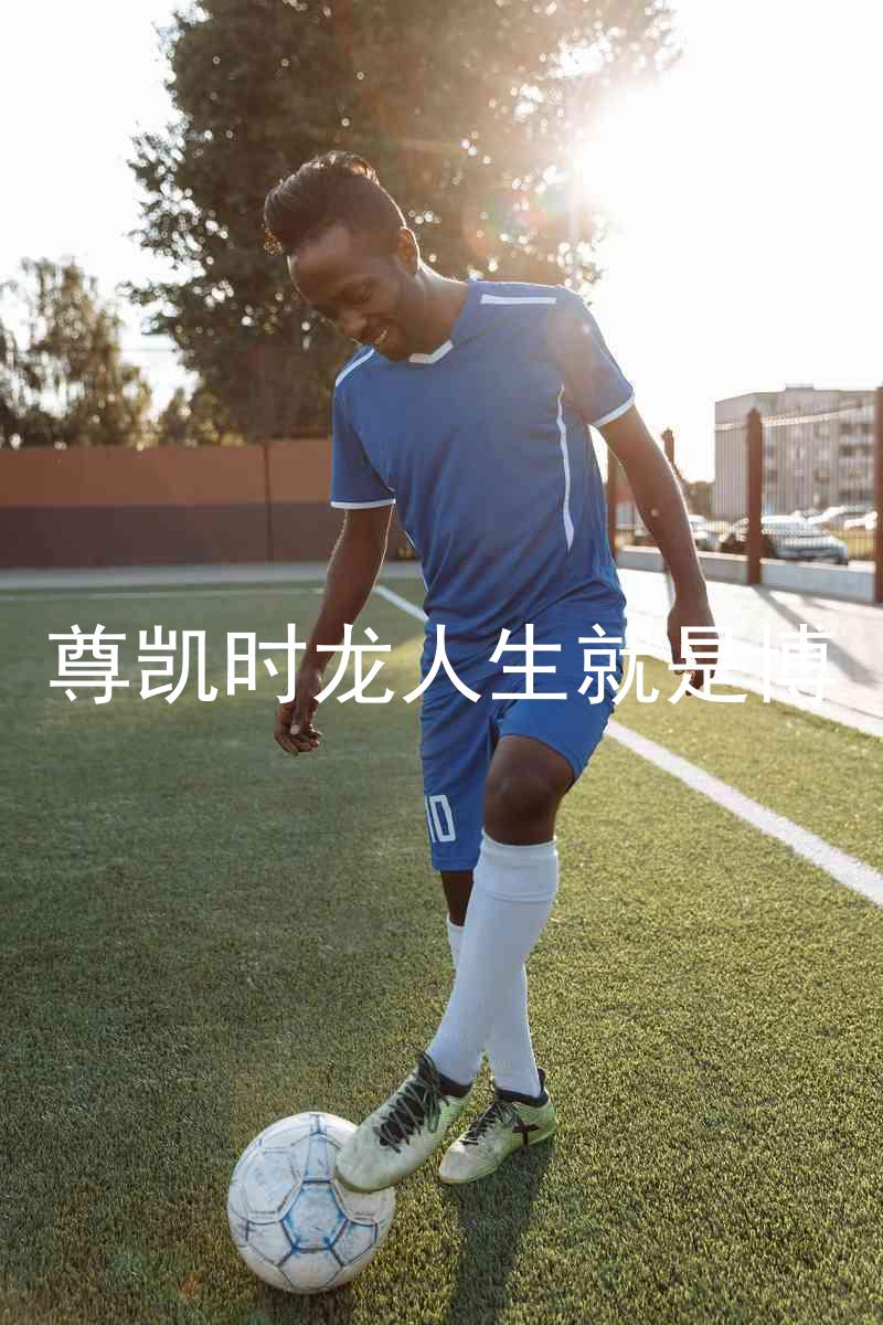 尊凯时龙人生就是博