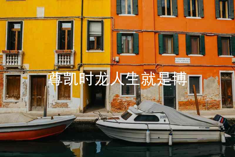尊凯时龙人生就是博